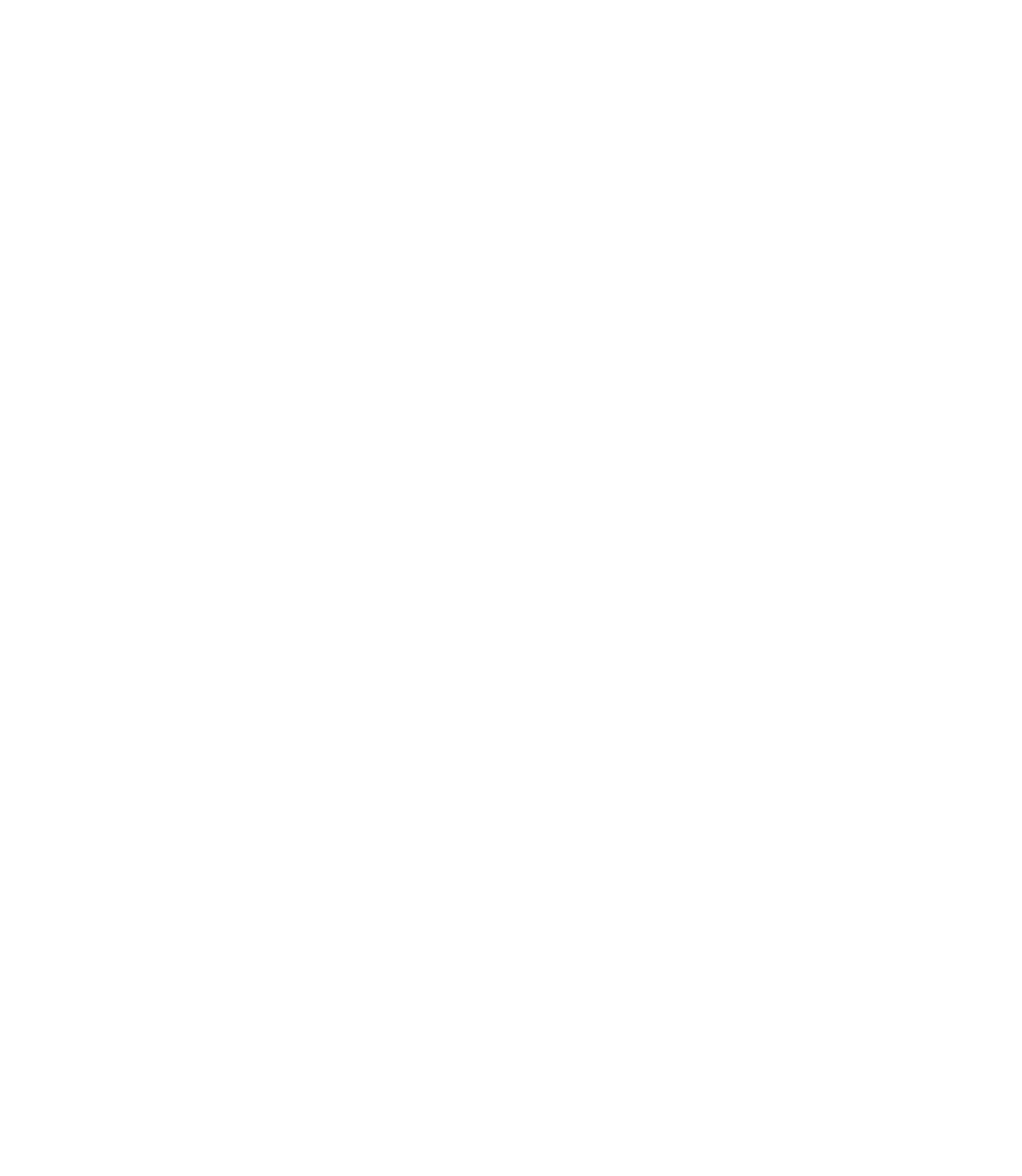 TikTok social media icon